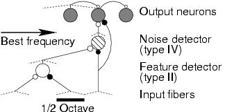 Neuronal Network