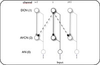 Auditory Information Processing